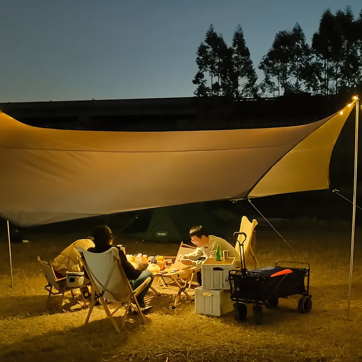 Tarp Randonnée 5.1x5.1M mise en situation camping - Gris et Vert - Gris Foncé et Argenté - Beige et Argent